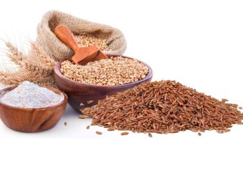 Makanan Pengganti Nasi untuk Diet Sehat