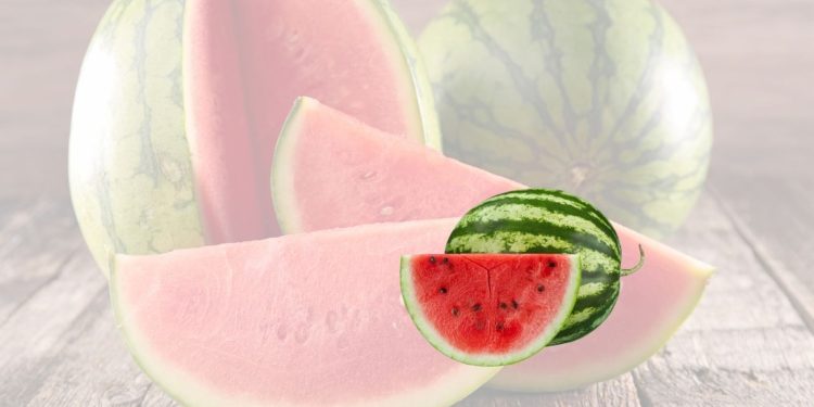 Makanan yang Tidak Boleh Dikonsumsi Bersama Semangka