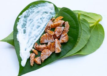 5 Alasan Harus Minum Air Rebusan Daun Sirih