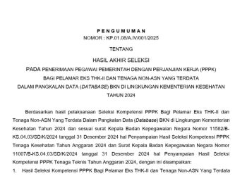 Cek Hasil Seleksi PPPK Tenaga Kesehatan 2024