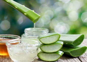 Manfaat Aloe Vera Gel Untuk Wajah