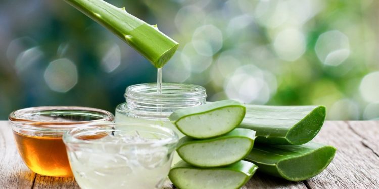Manfaat Aloe Vera Gel Untuk Wajah