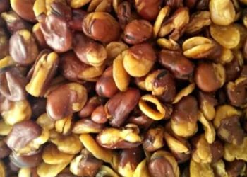 Kandungan dan Manfaat Kacang Parang Untuk Kesehatan