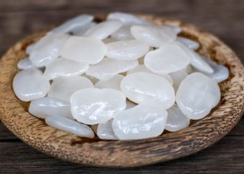 Manfaat Kolang Kaling, Buah Kaya Nutrisi