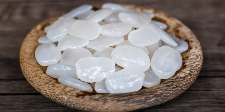 Manfaat Kolang Kaling, Buah Kaya Nutrisi