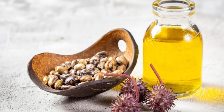 Manfaat Minyak Jarak, Bisa Untuk Usus Buntu