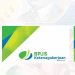Cara Cek Aktif BPJS Ketenagakerjaan, Syarat Utama BSU Juni 2025