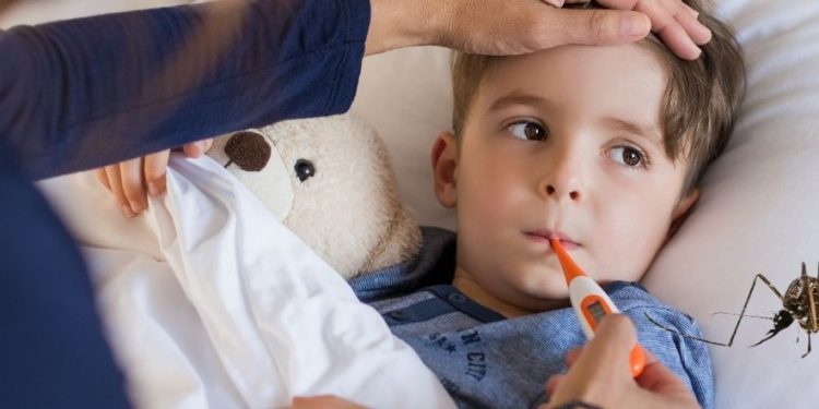 Cek Fakta Apakah Biaya Pengobatan DBD Ditanggung BPJS Kesehatan