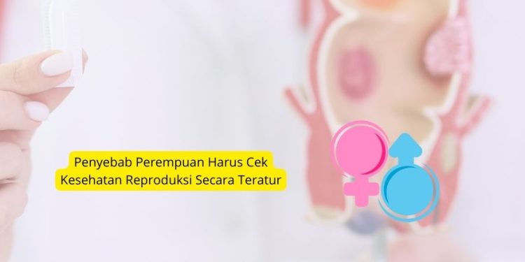 Penyebab Perempuan Harus Cek Kesehatan Reproduksi Secara Teratur