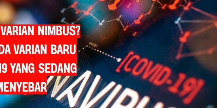 Apa Itu Varian Nimbus Waspada Varian Baru COVID-19 yang Sedang Menyebar