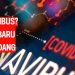 Apa Itu Varian Nimbus Waspada Varian Baru COVID-19 yang Sedang Menyebar