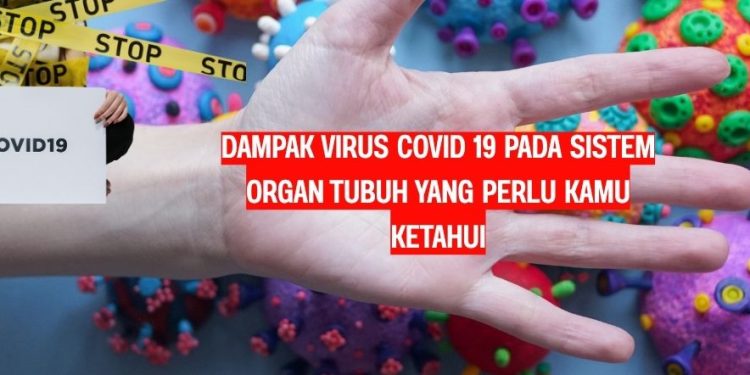 Dampak Virus COVID 19 pada Sistem Organ Tubuh yang Perlu Kamu Ketahui