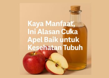 Kaya Manfaat, Ini Alasan Cuka Apel Baik untuk Kesehatan Tubuh