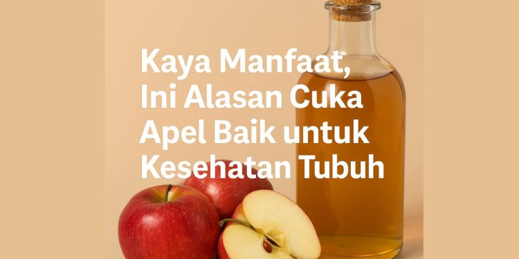 Kaya Manfaat, Ini Alasan Cuka Apel Baik untuk Kesehatan Tubuh