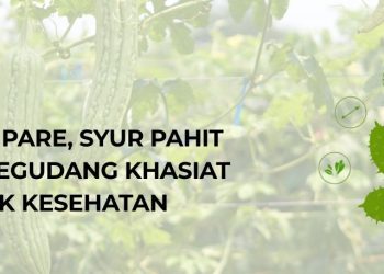 Manfaat Pare, Syur Pahit dengan Segudang Khasiat Untuk Kesehatan