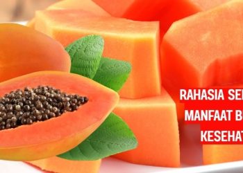 Rahasia Sehat Alami, Deretan Manfaat Buah Pepaya untuk Kesehatan Setiap Hari