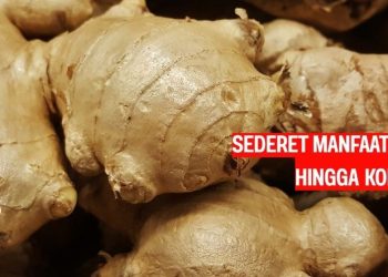 Sederet Manfaat Jahe Dari Mual Hingga Kolesterol