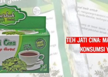 Teh Jati Cina Manfaat, dan Tips Konsumsi yang Tepat