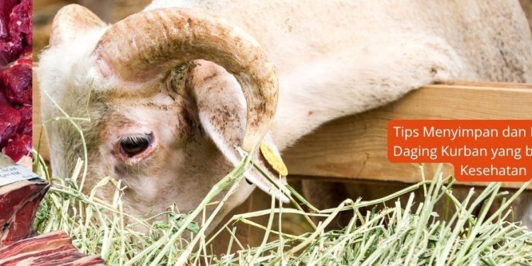 Tips Menyimpan dan Mengolah Daging Kurban yang baik Untuk Kesehatan