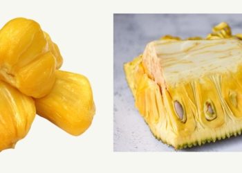 7 Khasiat Buah Nangka untuk Kesehatan