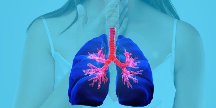 Apa Itu Trakea? Ini Fungsi, Struktur, dan Letaknya dalam Tubuh Manusia