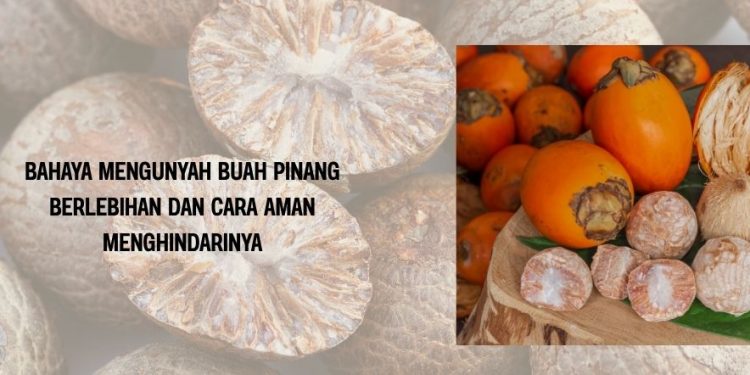 Bahaya Mengunyah Buah Pinang Berlebihan dan Cara Aman Menghindarinya