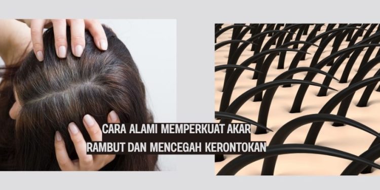 Cara Alami Memperkuat Akar Rambut dan Mencegah Kerontokan