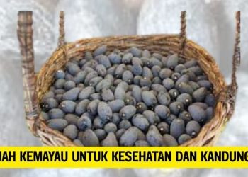 Manfaat Buah Kemayau untuk Kesehatan dan Kandungan Nutrisi
