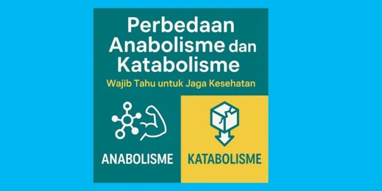 Perbedaan Anabolisme dan Katabolisme, Wajib Tahu untuk Jaga Kesehatan