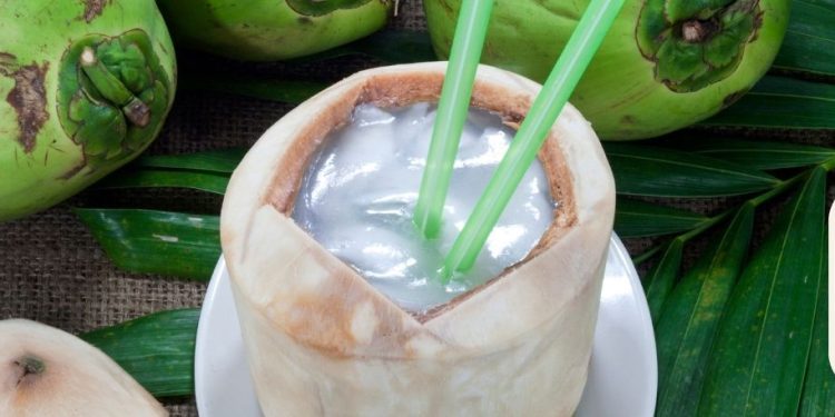 Rutin Minum Air Kelapa Muda, Ini Dampak Positifnya Bagi Kesehatan