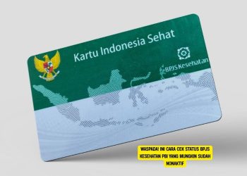 Waspada! Ini Cara Cek Status BPJS Kesehatan PBI yang Mungkin Sudah Nonaktif