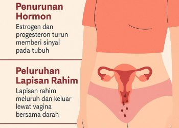 Apa yang Terjadi Saat Menstruasi? Penjelasan Lengkap untuk Pemula