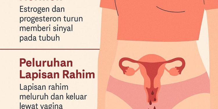 Apa yang Terjadi Saat Menstruasi? Penjelasan Lengkap untuk Pemula