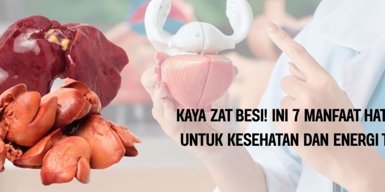 Kaya Zat Besi! Ini 7 Manfaat Hati Ayam untuk Kesehatan dan Energi Tubuh