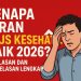Kenapa Iuran BPJS Kesehatan Naik 2026? Ini Alasan dan Penjelasan Lengkap