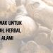 Khasiat Temulawak untuk Kesehatan Tubuh, Herbal Tradisional Alami