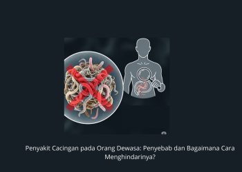 Penyakit Cacingan pada Orang Dewasa Penyebab dan Bagaimana Cara Menghindarinya