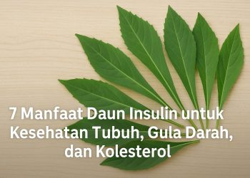 7 Manfaat Daun Insulin untuk Kesehatan Tubuh, Gula Darah, dan Kolesterol