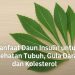 7 Manfaat Daun Insulin untuk Kesehatan Tubuh, Gula Darah, dan Kolesterol