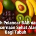 Buah Pelancar BAB dan Pencernaan Sehat Alami Bagi Tubuh