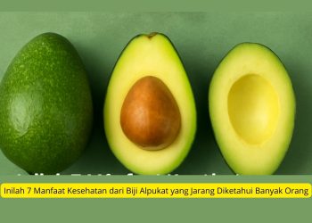 Inilah 7 Manfaat Kesehatan dari Biji Alpukat yang Jarang Diketahui Banyak Orang