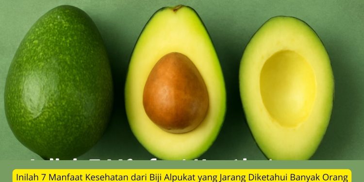 Inilah 7 Manfaat Kesehatan dari Biji Alpukat yang Jarang Diketahui Banyak Orang