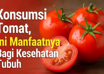 Konsumsi Tomat, Ini Manfaatnya Bagi Kesehatan Tubuh