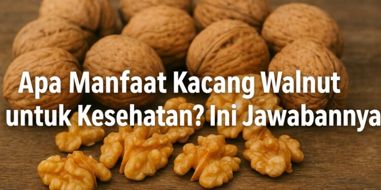 Apa Manfaat Kacang Walnut untuk Kesehatan? Ini Jawabannya
