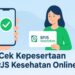 Cek Kepesertaan BPJS Kesehatan Online dengan NIK dan Tanggal Lahir