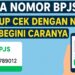 Lupa Nomor BPJS Cukup Cek dengan NIK, Begini Caranya