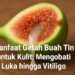 Manfaat Getah Buah Tin untuk Kulit: Mengobati Luka hingga Vitiligo