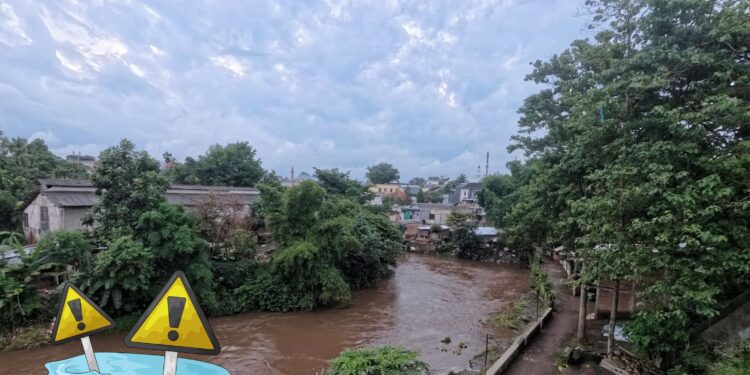 Cara Menghadapi Banjir Rob Langkah Mitigasi Sejak Dini untuk Keluarga