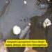 Waspada Leptospirosis Pasca Banjir Gejala, Bahaya, dan Cara Mencegahnya