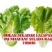 Bukan Sekadar Lalapan, Ini Manfaat Selada bagi Tubuh